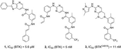 Design, synthesis and evaluation of a series of potential prodrugs of a Bruton’s tyrosine kinase (BTK) inhibitor